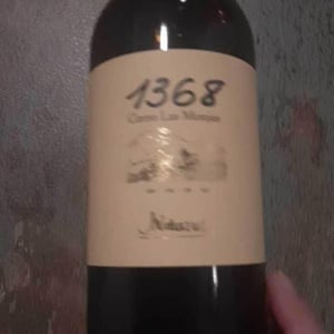 1368 Cerro Las Monjas - Barranco Oscuro - manuel-lorenzo-valenzuela