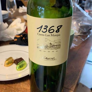 1368 Cerro Las Monjas - Barranco Oscuro - manuel-lorenzo-valenzuela