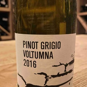 PINOT GRIGIO - Voltumna - marzio-politi