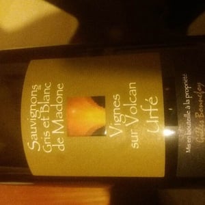 Vins de la Madone - Gilles Bonnefoy - Sauvignons Gris et Blancs de Madone
