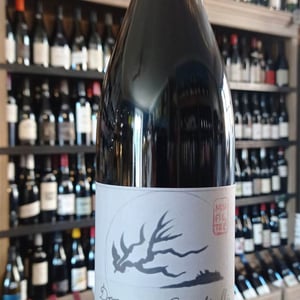 Patrimonio - Domaine Giudicelli - muriel-giudicelli