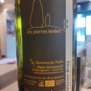 Les Pierres Leveés - Domaine De Thalie - Peter Gierszewski 