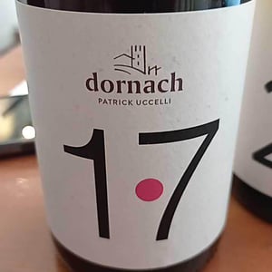 17 - Ansitz Dornach - patrick-karoline-uccelli