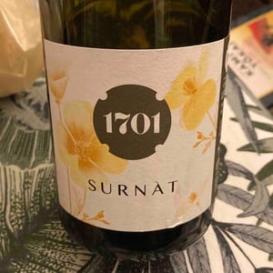 1701 Surnat - 1701 Franciacorta - Silvia & Federico Stefini 