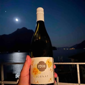 1701 Surnat - 1701 Franciacorta - silvia-federico-stefini