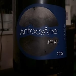 18h17 - AntocyÂme - Muriel Zoldan 