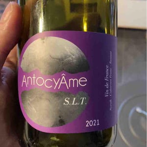 S.L.T - AntocyÂme - Muriel Zoldan 