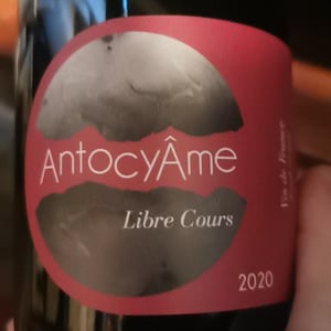 18h17 - AntocyÂme - muriel-zoldan