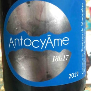 18h17 - AntocyÂme - muriel-zoldan