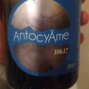 AntocyÂme - Muriel Zoldan - 18h17