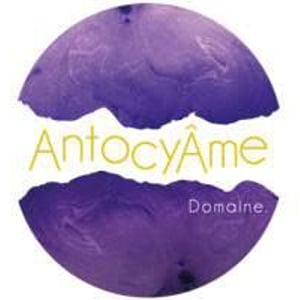18h17 - AntocyÂme - muriel-zoldan