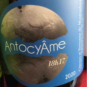 18h17 - AntocyÂme - muriel-zoldan
