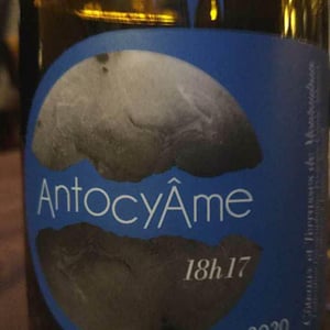 18h17 - AntocyÂme - muriel-zoldan