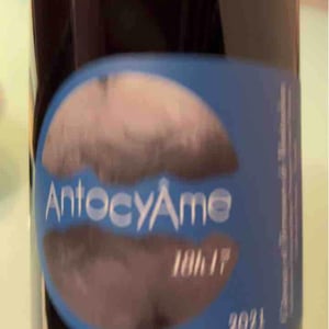 18h17 - AntocyÂme - Muriel Zoldan 