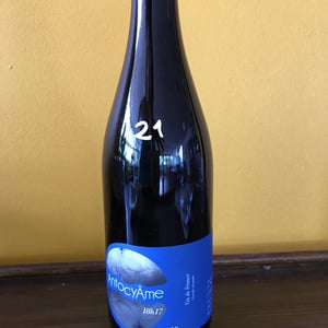 18h17 - AntocyÂme - muriel-zoldan