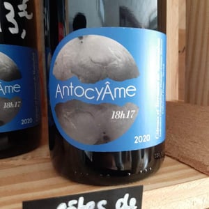 18h17 - AntocyÂme - muriel-zoldan