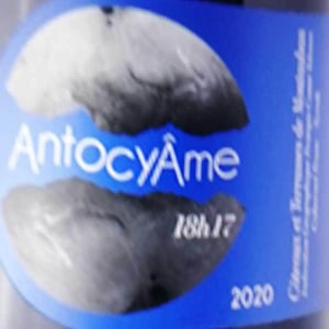 AntocyÂme - Muriel Zoldan - 18h17