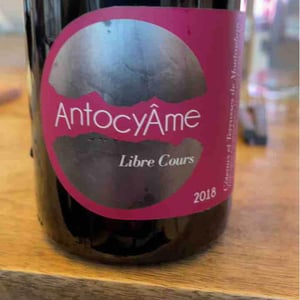 AntocyÂme - Muriel Zoldan - 18h17