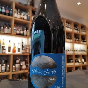 18h17 - AntocyÂme - muriel-zoldan