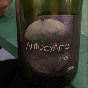 AntocyÂme - Muriel Zoldan - 18h17