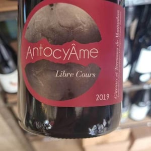 18h17 - AntocyÂme - Muriel Zoldan 