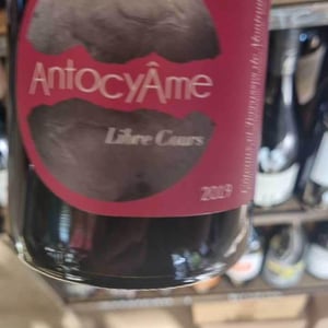 18h17 - AntocyÂme - Muriel Zoldan 