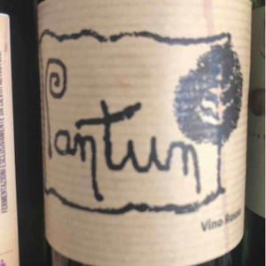 Pantun Rosso - Cantina Pantun - domenico-caragnano