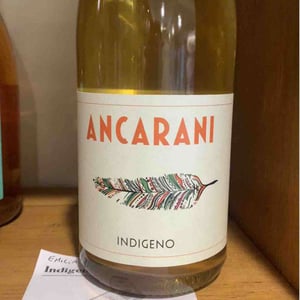 Indigeno - Ancarani - rita-babini-claudio-ancarani