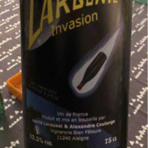 Carbonic Invasion - Domaine Thuronis - Vigneron Bien Fêteur - alexandre-coulange-astrid-lerouxel