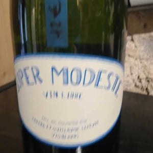 Super Modeste - Domaine de Sulauze - karina-guillaume-lefevre