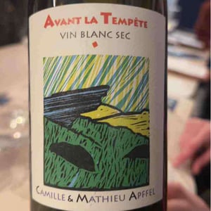 Mathieu Apffel - Camille & Mathieu Apffel - Avant La Tempête