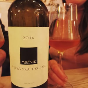 2016 - Organic farm Mlečnik - mlecnik-valter-and-klemen -2016