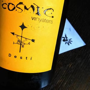Desti - Còsmic Vinyaters - salvador-batlle-barrabeig
