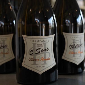 5 Sens - Champagne Olivier Horiot - olivier-horiot