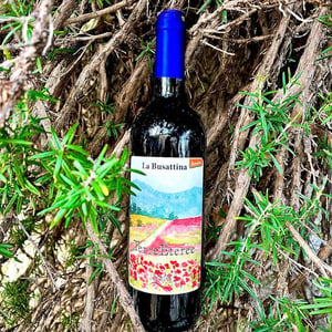 terreeteree - Azienda Agricola La Busattina - emilio-falcione