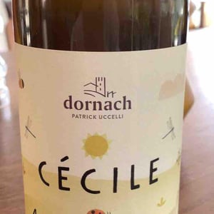 22 - Ansitz Dornach - patrick-karoline-uccelli