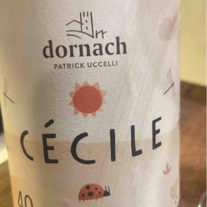 Cécile 40 - Ansitz Dornach - Patrick & Karoline Uccelli -2022