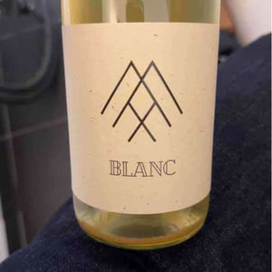 Blanc - Max sein Wein - max-baumann