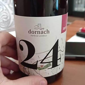 24 - Ansitz Dornach - patrick-karoline-uccelli -2019