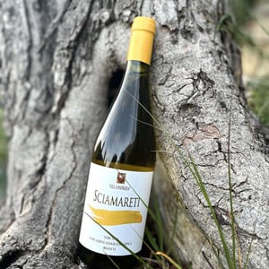 Sciamareti - Villa Patrizia - Alessio Casamatta -2020