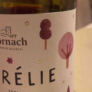 26 - Ansitz Dornach - Patrick & Karoline Uccelli