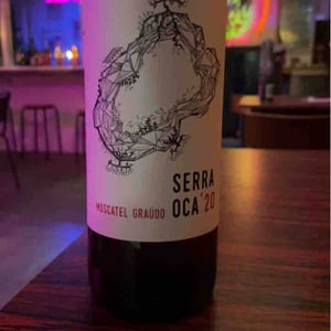 Serra Oca – Branco - Quinta do Olival da Murta - vivas-family -2019