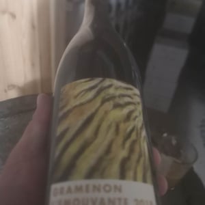 L'Émouvante - Domaine Gramenon - michele-aubery-laurent-maxime-francois-laurent
