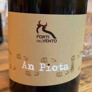 An Piota - Azienda Agricola Forti Del Vento - Marco Tacchino, Manuela Murchio & Tomaso Armento 