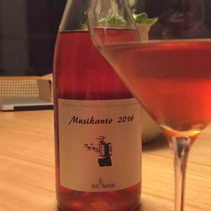 Musikanto - Bodegas Bernabé Navarro SL - Rafa Bernabé 