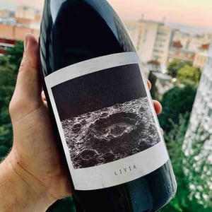 Livia - Sous Le Vegetal - Patrick Bouju & Jason Ligas 