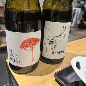 El Pino Rojo - Barranco Oscuro - manuel-lorenzo-valenzuela