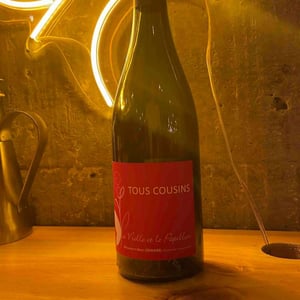 Tous Cousins - La Vrille et le Papillon - geraldine-meryl-croizier