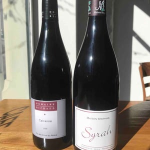 Syrah - Maison Stéphan - romain-jean-michel-et-dorian-stephan