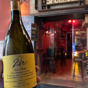 2Vite - 2Vite - pietro-giancarlo-moschetti -2019